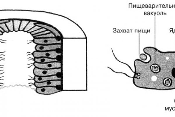 Кракен как зайти ссылка