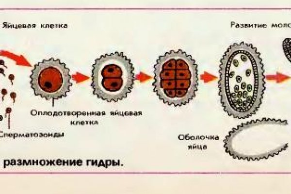 Кракен современный даркнет