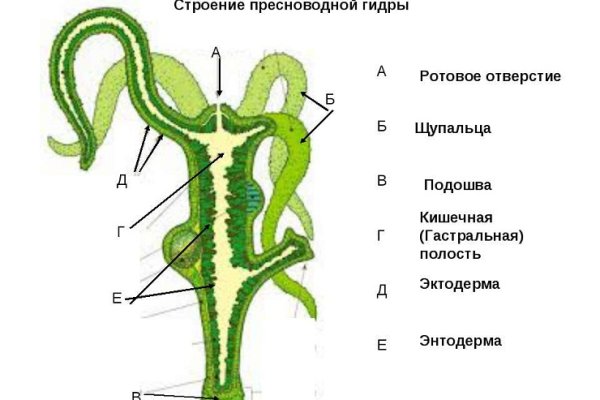 Kraken market ссылка