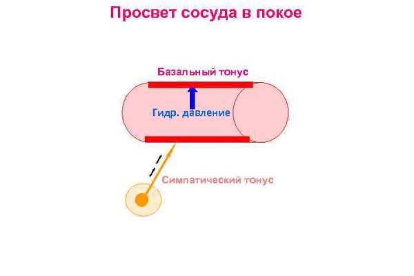 Сайт кракен официальный ссылка onion